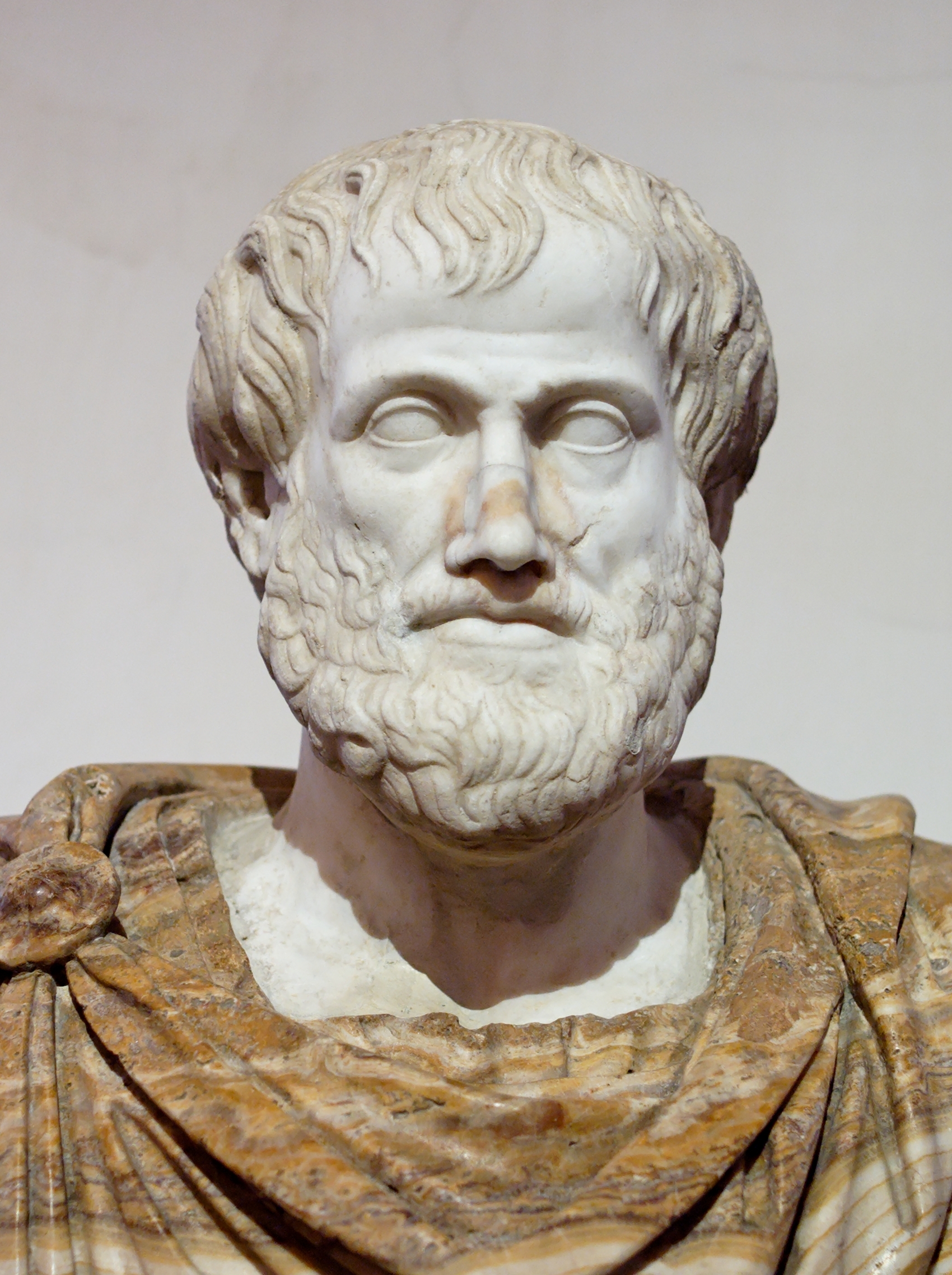 المؤلف أرسطو